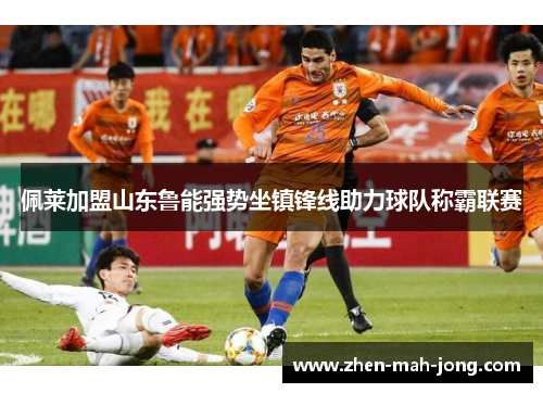 佩莱加盟山东鲁能强势坐镇锋线助力球队称霸联赛 佩莱加盟山东鲁能强势坐镇锋线助力球队称霸联赛