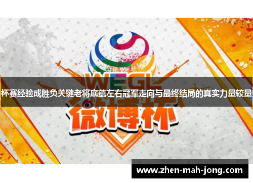 杯赛经验成胜负关键老将底蕴左右冠军走向与最终结局的真实力量较量 杯赛经验成胜负关键老将底蕴左右冠军走向与最终结局的真实力量较量